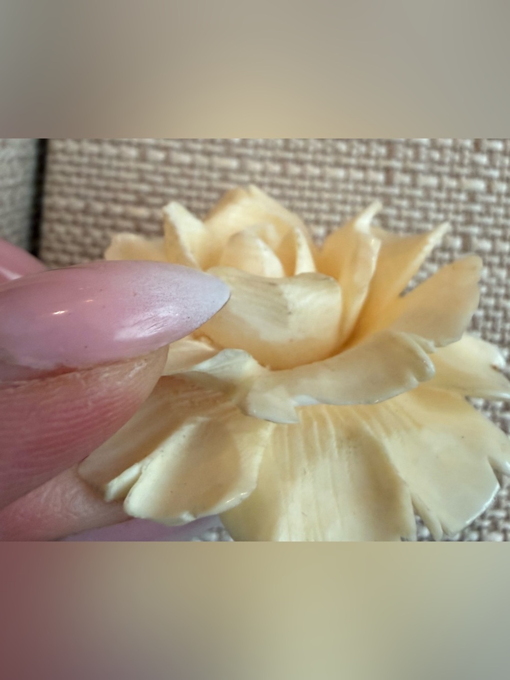 Carved Cream Rose Celluloid Very Vintage Brooch - Picture 12 of 14